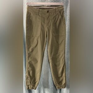 Banana Republic Sage Green Trousers